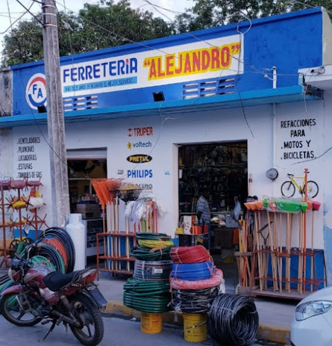 Ferretería Alejandro in Ignacio de la Llave