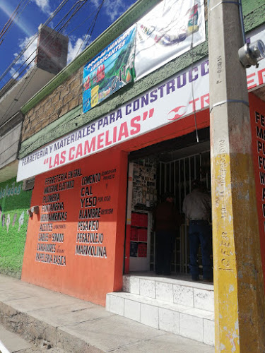 Ferretería Las Camelias in Fresnillo