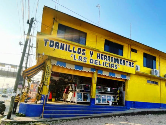 Screws And Tools Las Delicias in Minatitlán